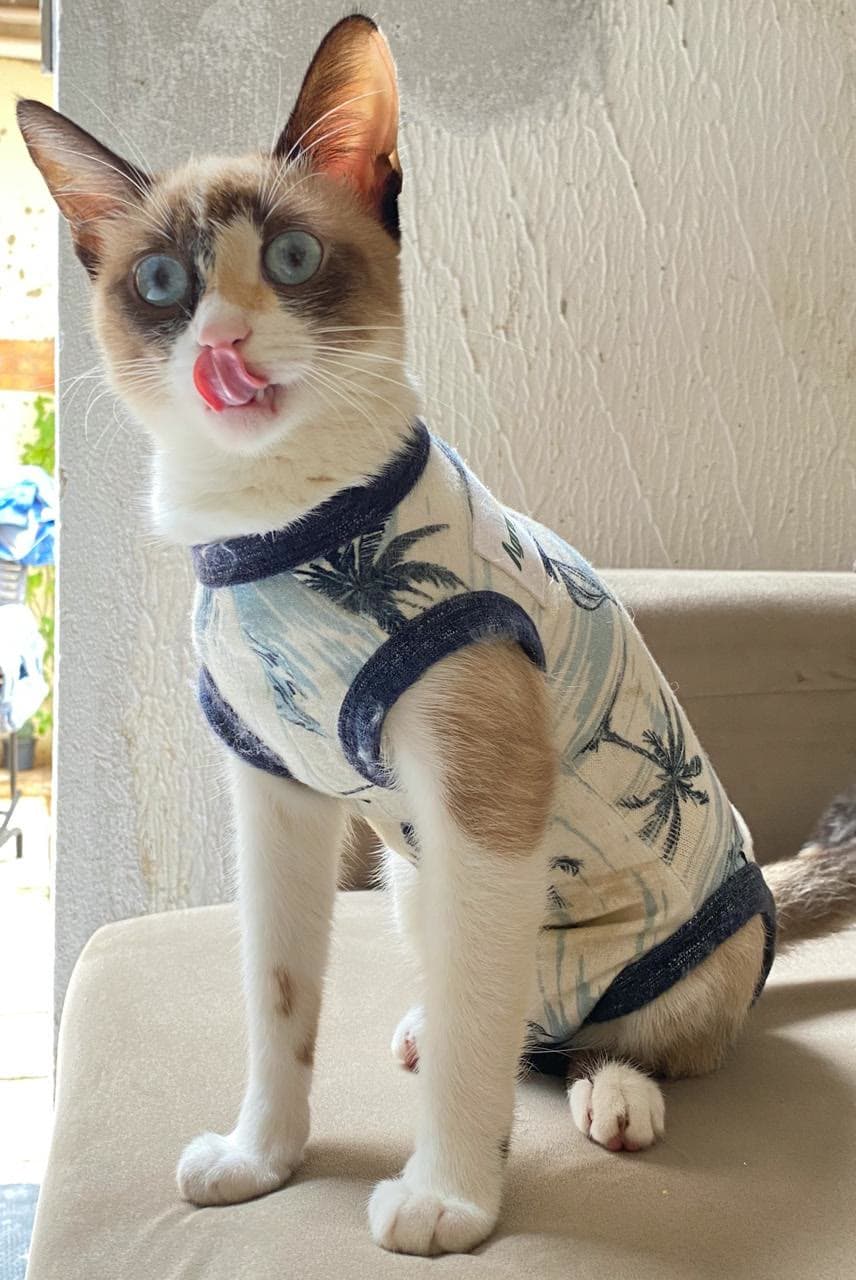 Yumi sentada de roupinha de coqueiros, com a língua de fora